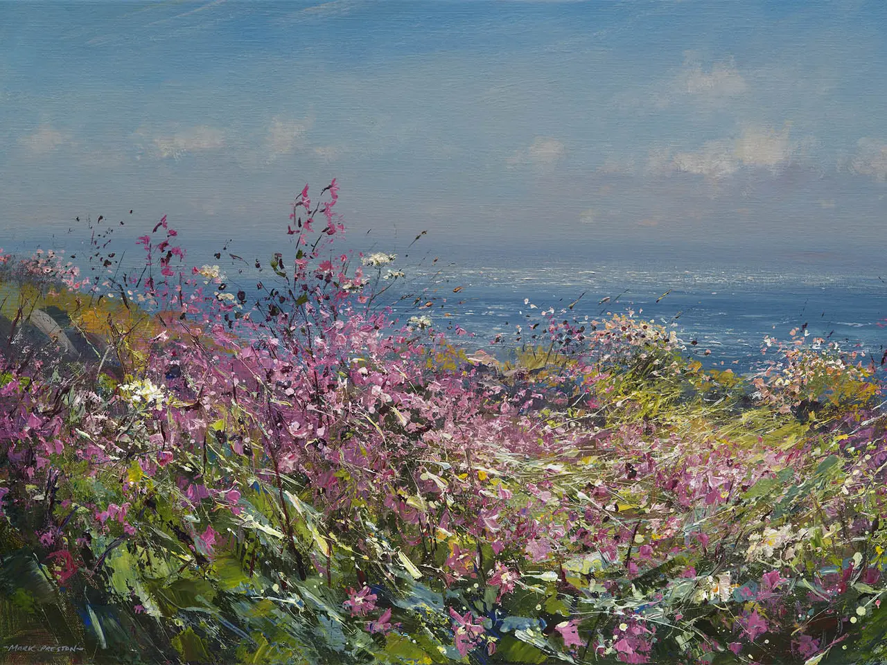 Mark Preston - clifftop flowers, cornwall
